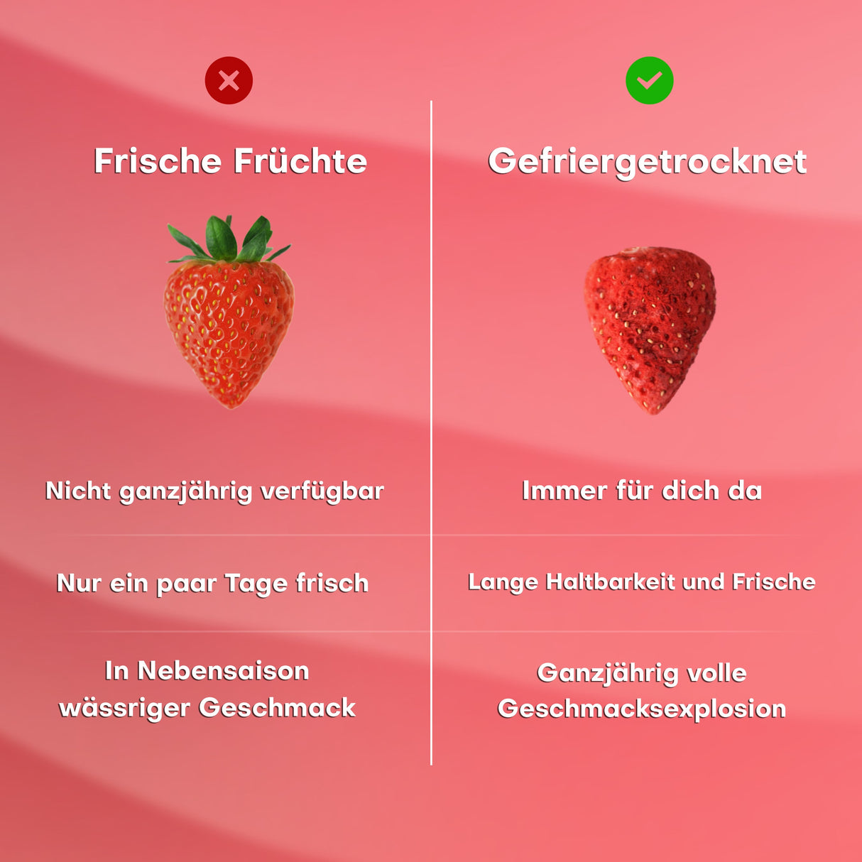 Pol's Freeze Fresh gefriergetrocknete Erdbeeren 15g