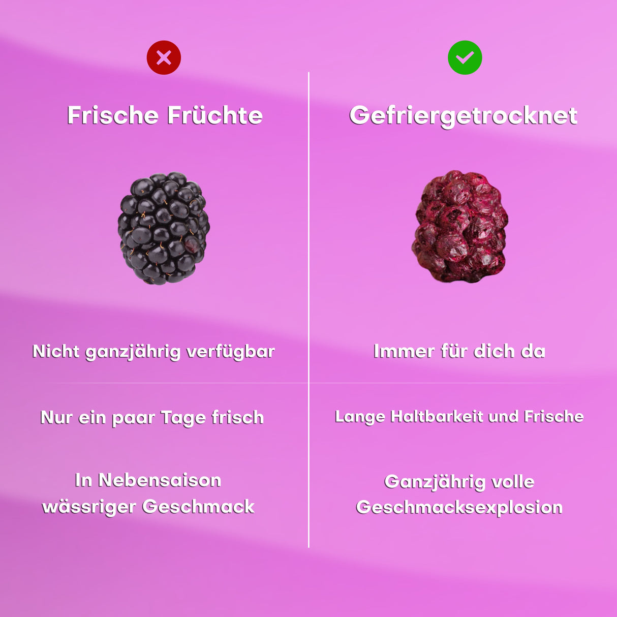 Pol's Freeze Fresh Berry Mix 16g