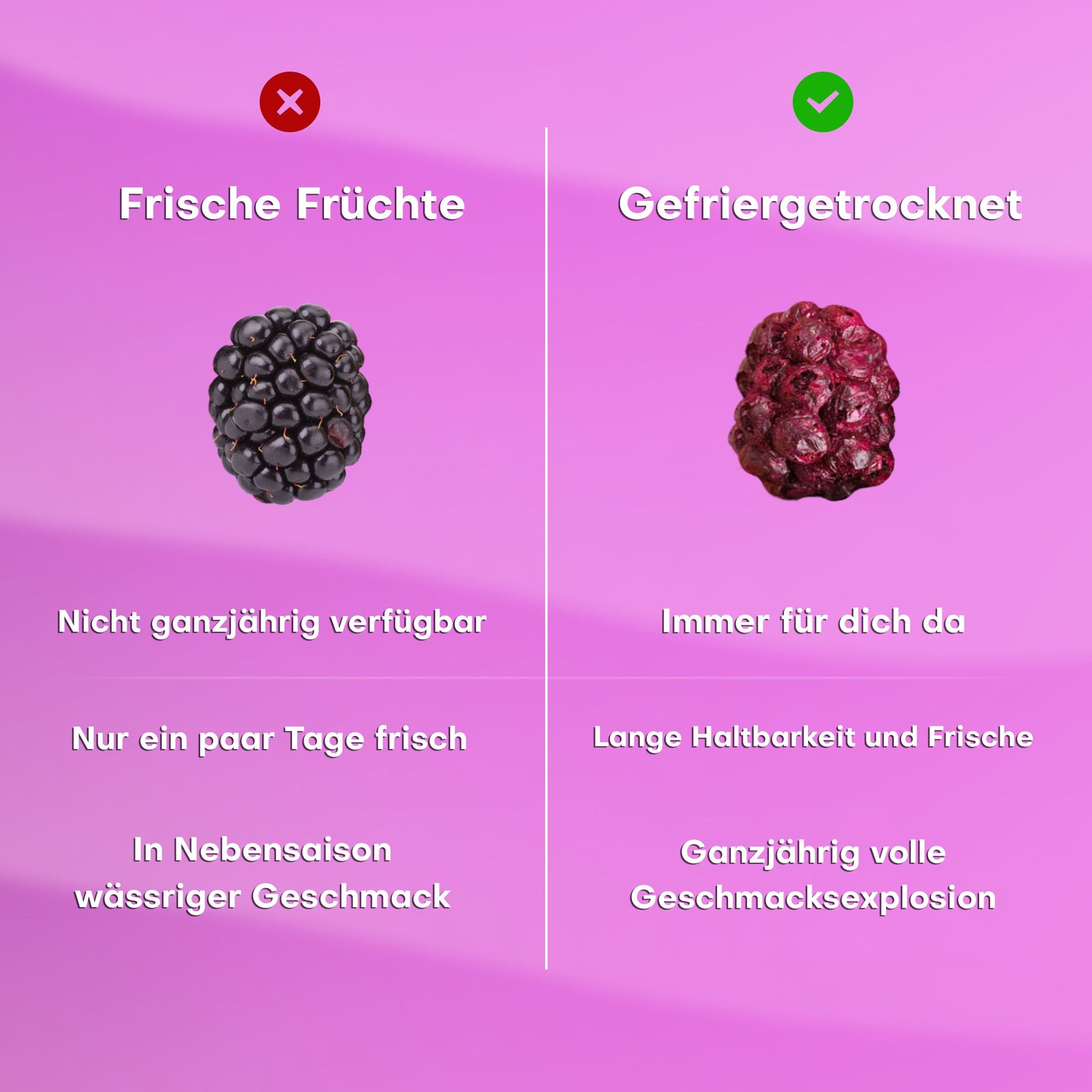 Pol's Freeze Fresh Berry Mix 16g